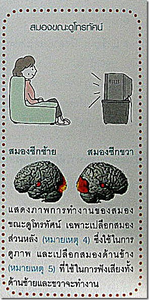 7 7