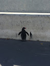 Tag Pingouin