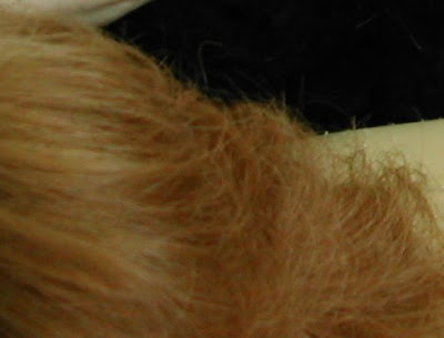 hair
