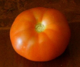 [tomato2[6].jpg]