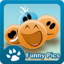 HaHa Funny Pics 8000+ mobile app icon