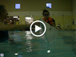 IMGP4263.MOV