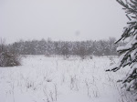 IMGP4272.JPG