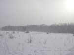 IMGP4280.JPG