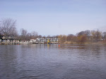 IMGP4474.JPG