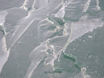IMGP4499.JPG