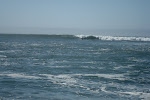 DSC00470.JPG
