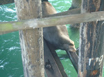 DSC00526.JPG