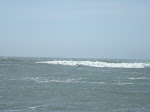 DSC00543.JPG