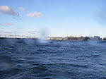 IMGP3931.JPG