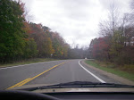 IMGP3961.JPG