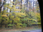 IMGP3964.JPG