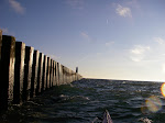 IMGP4739.JPG