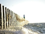 IMGP4742.JPG