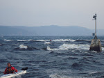 DSC01401.JPG
