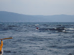 DSC01403.JPG
