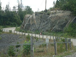 DSC01437.JPG