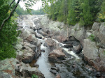 DSC01355.JPG