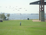 DSC01565.JPG