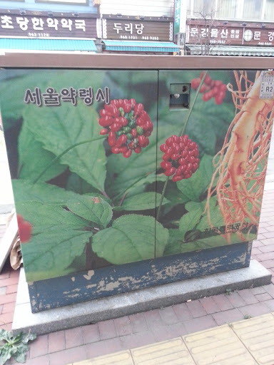 서울약령시 인삼그림