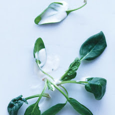 Ranch Salad Dressing