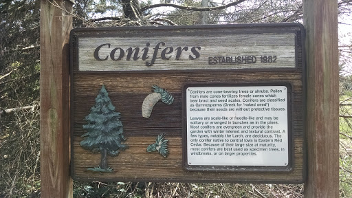 Conifer Informational Plaque