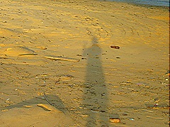 My SHADOW