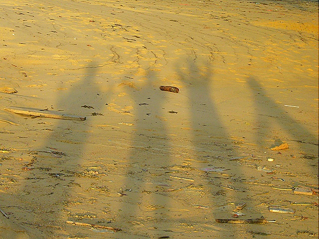 [4 ppl SHADOW[7].jpg]