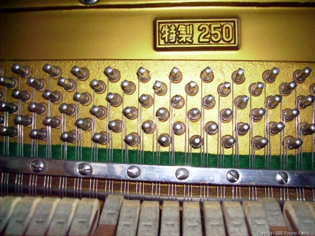 [20081002AteJsnewpianostringsandhamme.jpg]