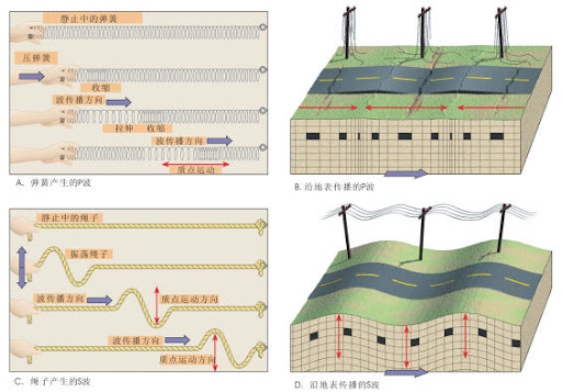 地震波P波和S波的卡通示意图