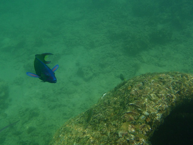 [P70700385.jpg]