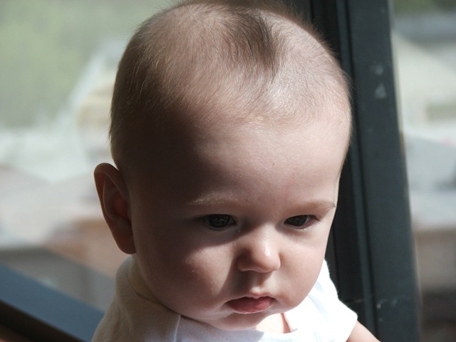 [ABP 4.5 Months 057[3].jpg]