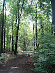 Veluwe Apeldoorn