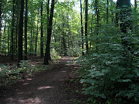Veluwe Apeldoorn