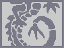 Thumbnail of the map 'Dragon Tale - Bottom'