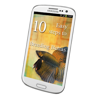 How to mod 10 Easy Steps to Breed Bettas lastet apk for bluestacks