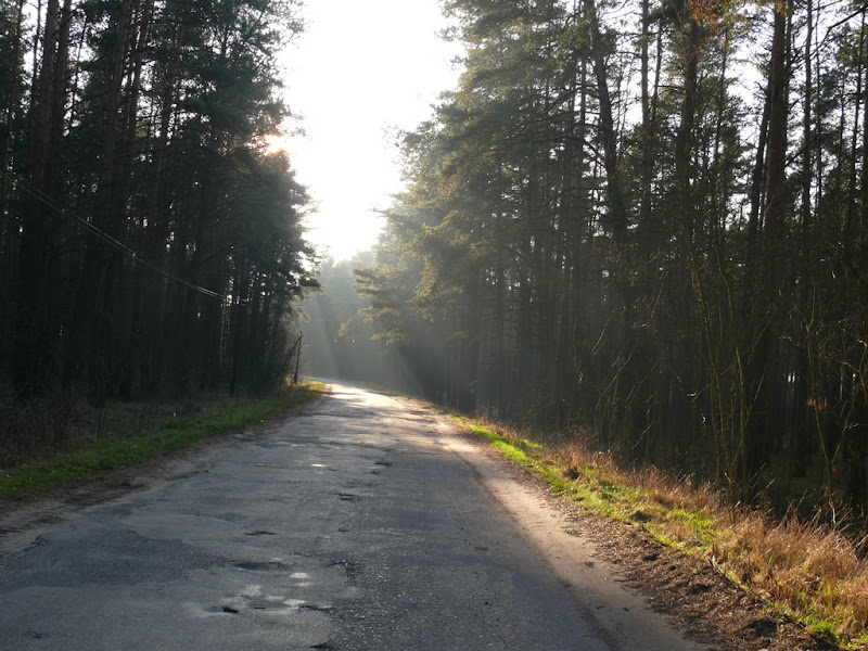 http://lh4.ggpht.com/kuba.cegielka/SBr2vinfydI/AAAAAAAAAI4/KCGj1x-qgDU/s800/p1000790.jpg