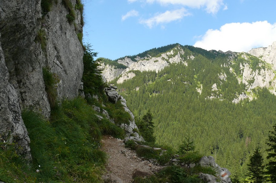 http://lh4.ggpht.com/kuba.cegielka/SIhfElb1OdI/AAAAAAAAAxY/AkSnXW4-1M8/s912/P1020861.JPG