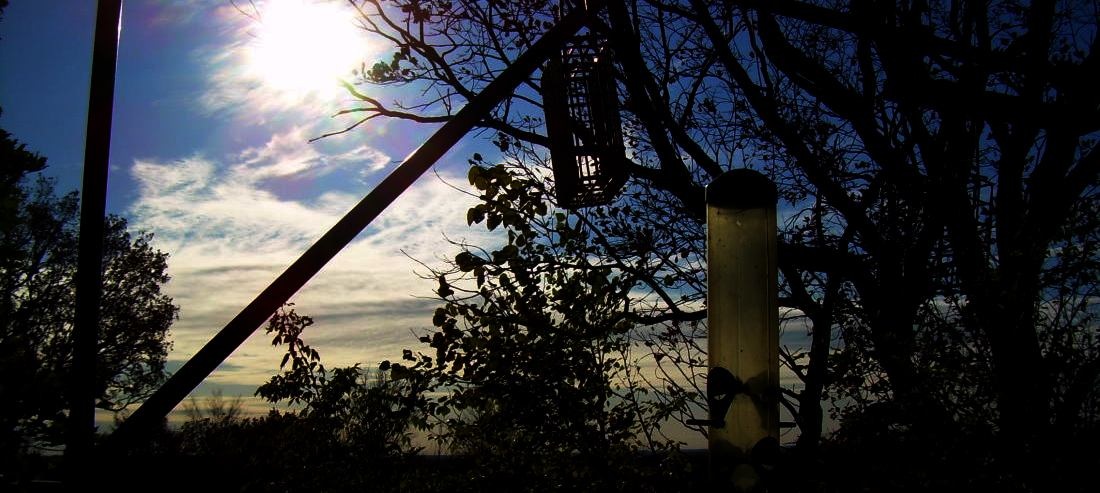 [Larrys dog and Porch (8)_938For email - Copy[6].jpg]