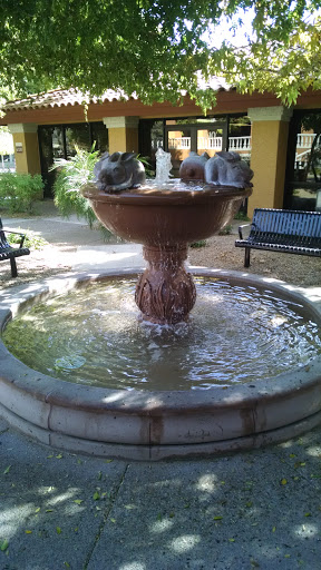 Rabbit Fountain 