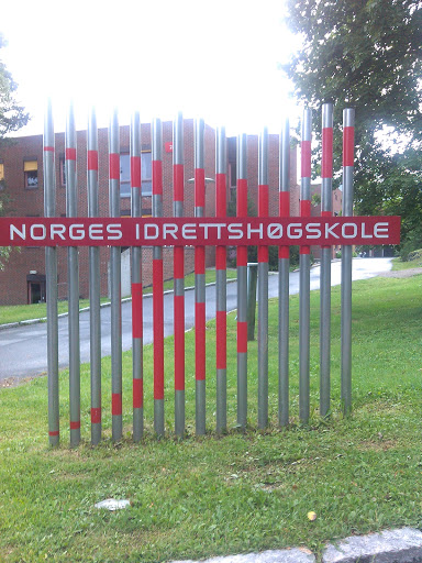 Norges Idrettshøgskole 