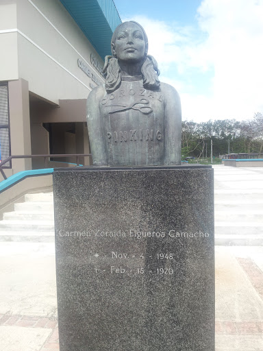 Monumento Carmen Zoraida Figueroa 