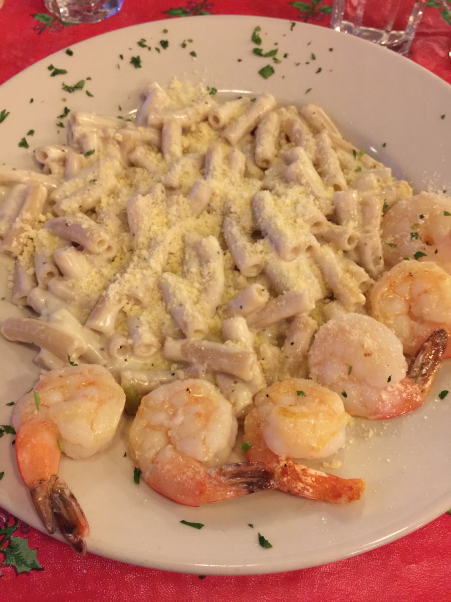 Gluten-free pasta with shrimp huge portions