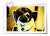 User profile picture thumbnail