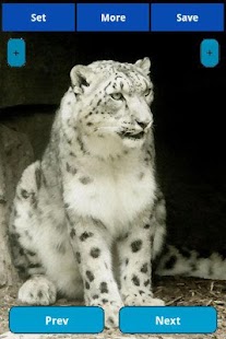 How to get Leopard wallpapers 1.5.0 unlimited apk for pc