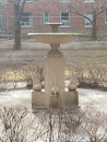 Decaying Fountain