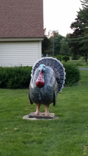 The one Normal Turkey Statue