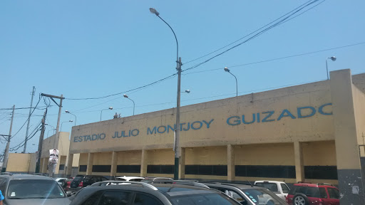 Estadio Julio Montjoy