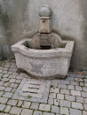 Fontana Di Pietra