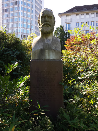 Heinrich Zollinger